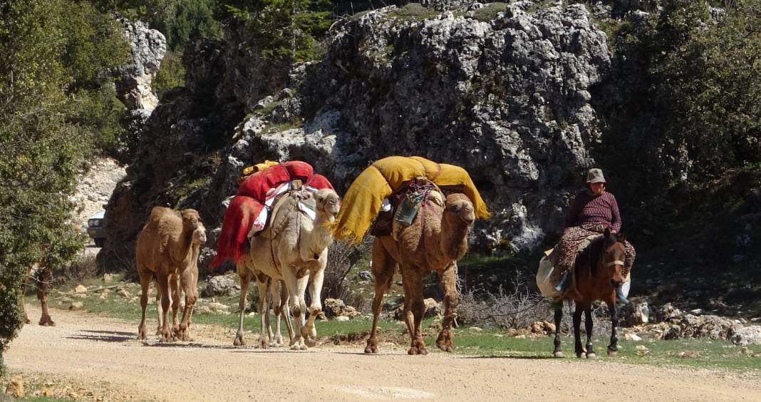 Son konargöçerler Konya'ya geliyor 8